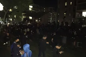 澳手游玩家齐聚寻宝 居民不堪噪音扔水弹图片