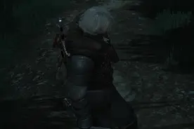 巫师3：狂猎湖女之剑连击修改MOD 修改叠加BUFF层数图片