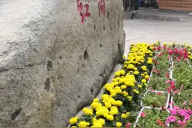 实拍：新疆乌鲁木齐红湖  里面的水用于灌溉周边花草树木。视频封面