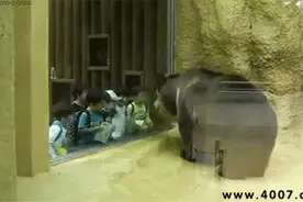 其实困了累了，应该来酒吧嗨一发！滨海最全酒吧地图，看你去过几个图片