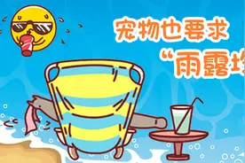 别晒老子、别使唤老子，求求你，别叮我~~图片