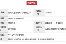 赶紧查查楼盘预售许可证号 石家庄上半年拿到预售许可证的楼盘图片