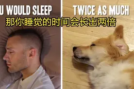 狗狗和人类做对比 那些你应该知道的常识图片
