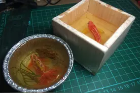 往木盒子里倒入树脂溶液，干了之后居然出现了栩栩如生的金鱼图片