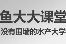 这样养虾，成活率也许可以高达7成！图片