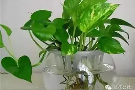 盐原来那么厉害！图片