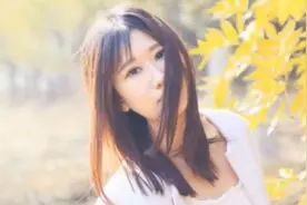 艾歌《情逝》，你终究不是陪我到最后的人图片