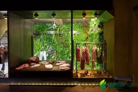 Replay,你卖的是服装还是植物墙？图片