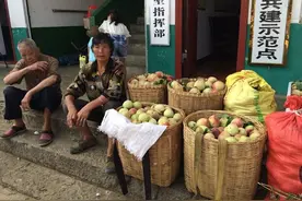 300多吨艳红桃滞销 普梯村“第一书记”李显军当起推销员图片