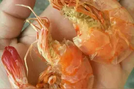 这么好吃的虾干，你知道是这样制成的吗？图片