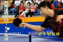 看动图涨球技-和马龙学打乒乓球图片