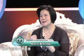 肺的功能和位置