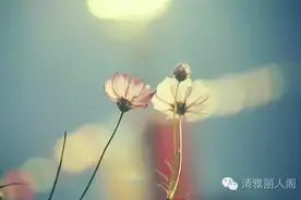 如果离开他，能让你过得更好图片