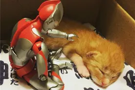 「咸蛋超人和宇宙萌猫」秀恩爱的画面才是最闪啊！图片