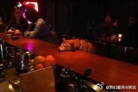 答应我，你从此别在深夜里买醉图片