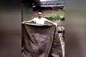 男子表演魔术装X失败原来是熊孩子在捣乱图片