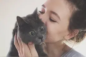 揭秘“惊讶猫”的来历之谜：美女强吻惊恐万分，自此留下的病根图片
