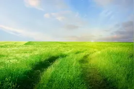 有些回答，注定会被铭记，因为它们太精彩了图片