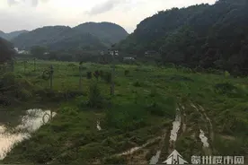 崇义县朱坑口村车前坝组地块网上成交 总价87.3万元图片