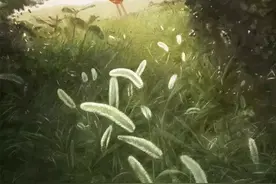 你不来，我终究会老去图片