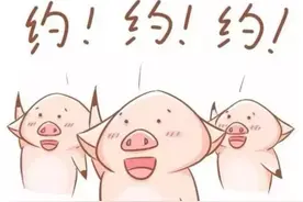 福利会昌最大向日葵园“开赏”啦！，这个夏季嗨起来！图片