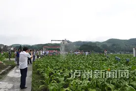 古蔺县：高科技！喷洒农药用上无人机图片
