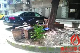 锦绣花园鼠患为何成灾？图片