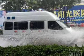 邯郸：暴雨中上演爱心抢救接力图片