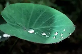 你结婚也太草率了吧图片