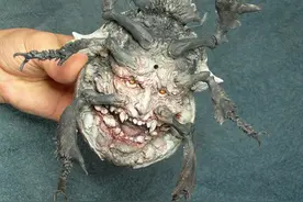异种生物制造者？大山竜，画风精奇的原型师！图片