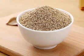 藜麦资源分布与生长环境植物学特征与生物学特性图片