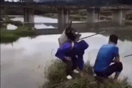 搞笑GIF图片：这才是真正的老司机，王之车技，给跪了图片