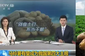 小小土豆里的神秘营养功效，竟然这么多！可惜知道的人很少！图片