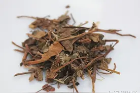 天然消炎药，特效鱼腥草你知道多少？图片