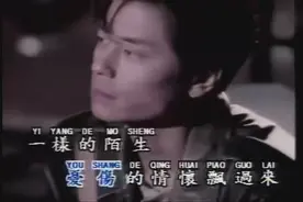王杰《梦在无梦的夜里》笑容迎面而来，风雨中的我却只有孤单图片
