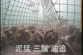 海底实拍捕鱼笼图片