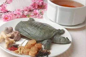 乙肝饮食注意 6种食物全完不可碰图片