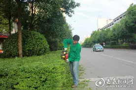 娄底市城市道路绿化管理处开展以考促学技术比武活动图片