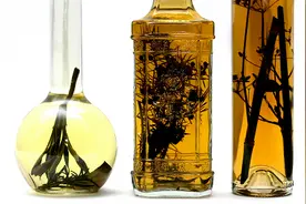 酒加药能提高疗效 什么东西泡酒好图片