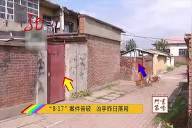 阿城继电器三人被刺案 凶手落网视频封面