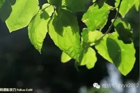 摄影爱好者必须知道的100个技巧（三）图片