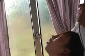 搞笑精选：我姐说别人看着是女司机都会让着点图片