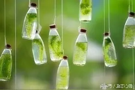 教育我家正处于青春期的孩子：树立正确三观图片