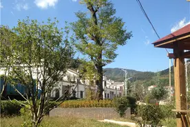 富源玛依咱：昔日贫困村摇身变“山中小城”图片