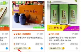 多穗石柯药食兼用甜茶人工栽培种子繁殖技术图片