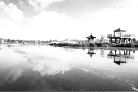 小小青虫牵出旅游大餐——江苏灌云倾力打造旅游强县图片