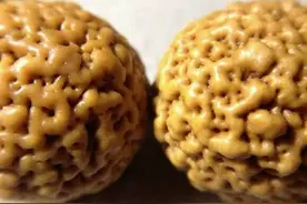 手把手教你玩金刚菩提，进来看看吧图片