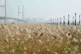 武汉地铁7号线最全攻略，美食美景还有地铁房，都提前给你打听好图片