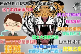 刘老师带你飞：如何一句话噎死游戏里那些叨逼叨的队友图片