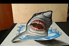 绘画高手--3D 大白鲨-国语流畅图片